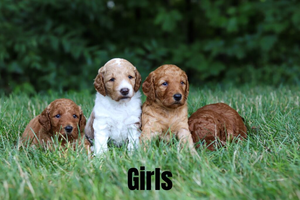 Girls only-3